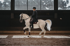 Slovenia-Slovenia-Lipizzan Dressage Clinic